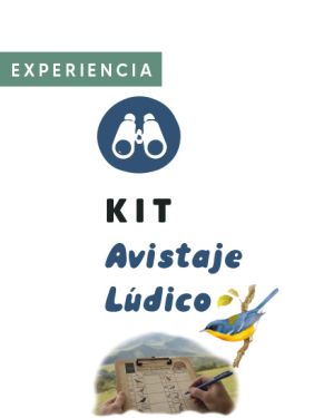 Avistaje lúdico