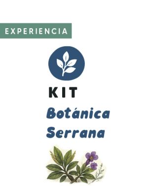 Botánica cotidiana